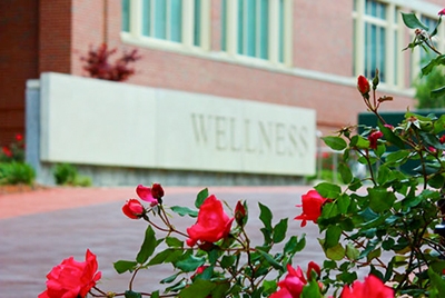 Photo of roses and wellness sign