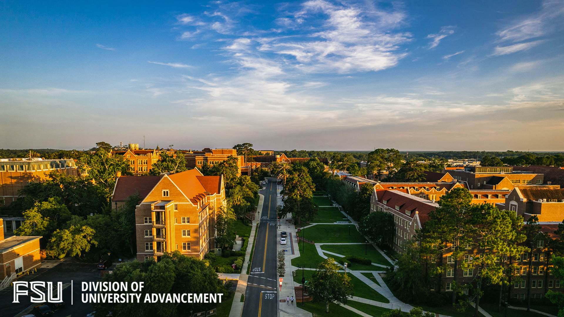 Advancement Zoom Background 4