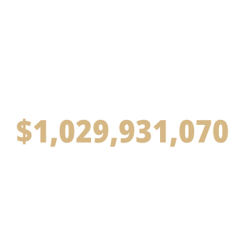 infographic of total endowment