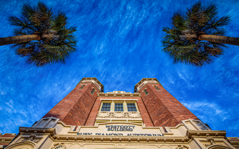 Westcott and palm trees